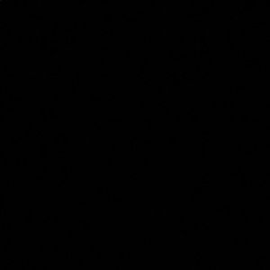 Meet your Posher, Mia